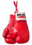 Pro Box 'SOUVENIR COLLECTION' PU Autograph Boxing Gloves - Red