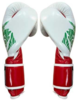 Cleto Reyes Velcro Sparring Gloves - Mexican Thumbnail