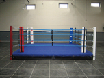 View the BOXING RING 'Low Platform' Training Ring 12 Foot online at Fight Outlet